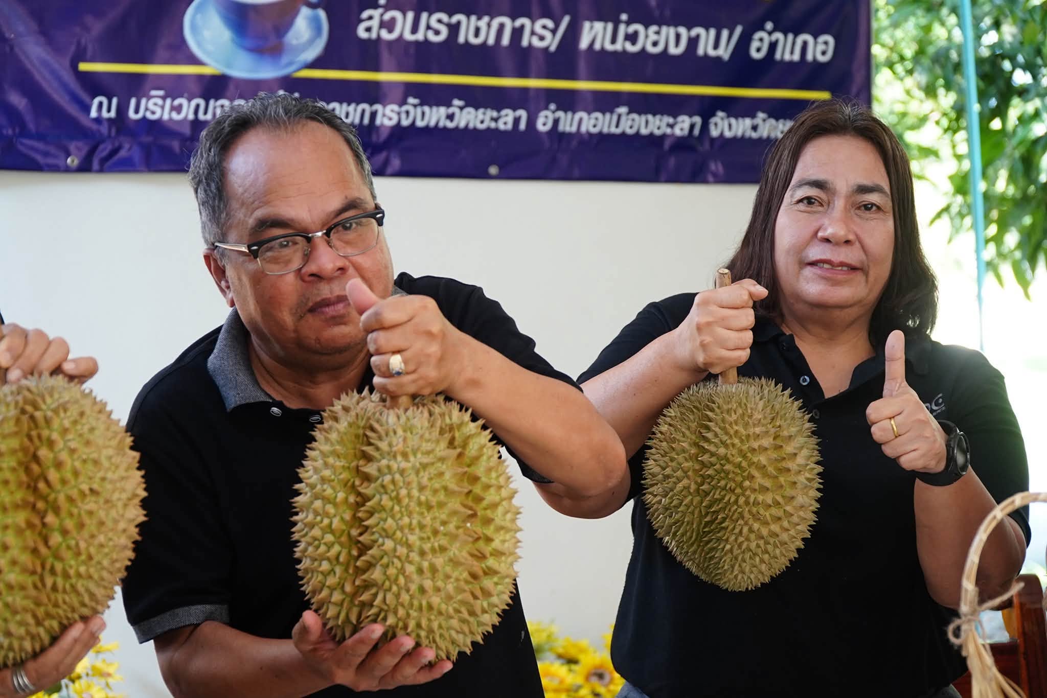 ผู้ว่าฯ ยะลา ผนึกกำลังกลไกหน่วยงานรัฐ เอกชน รองรับผลผลิตทุเรียน กว่า 9 หมื่นตัน ชูแคมเปญ "ทุเรียน 8 เซียน" กระตุ้นเศรษฐกิจ เชิงรุกงานวิ่งยะลามาราธอน