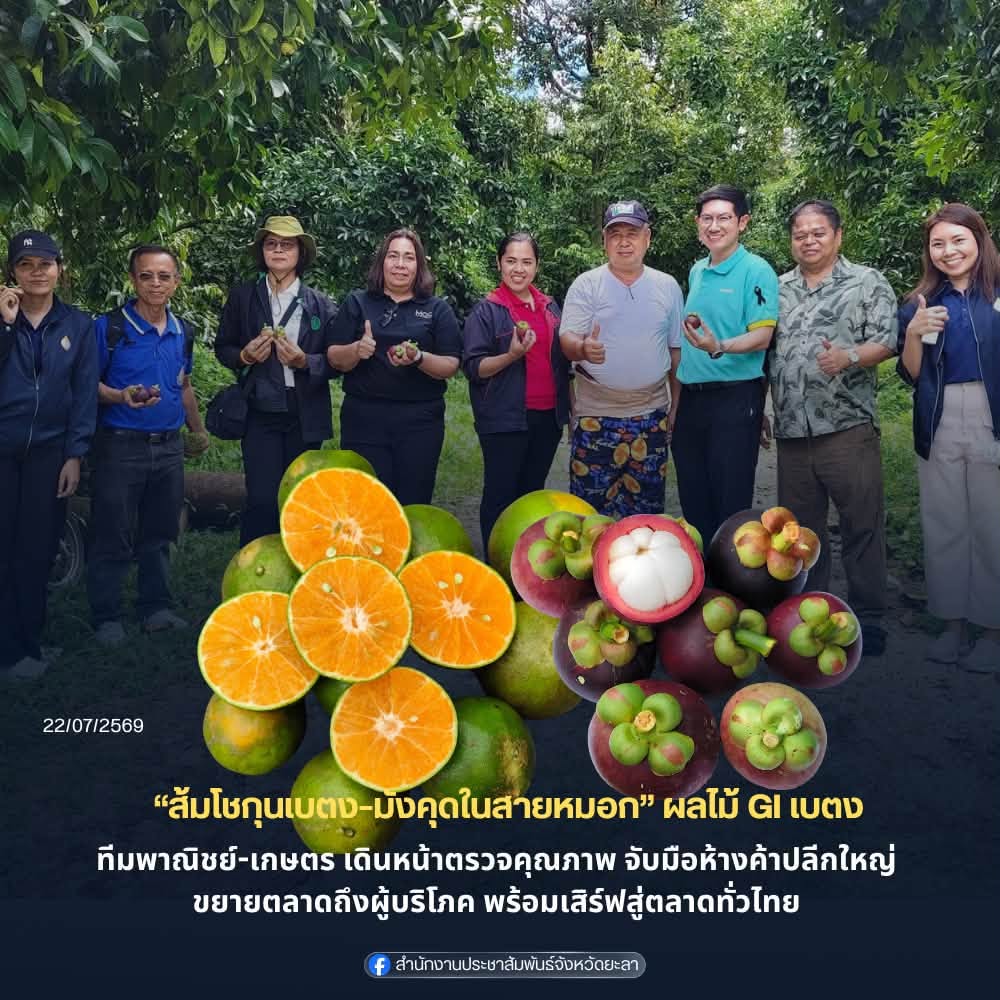 “ส้มโชกุนเบตง–มังคุดในสายหมอกเบตง” ผลไม้ GI เบตง ทีมพาณิชย์ยะลา￼-เกษตรยะลา เดินหน้าตรวจคุณภาพ จับมือห้างค้าปลีกใหญ่ ขยายตลาดถึงผู้บริโภค พร้อมเสิร์ฟสู่ตลาดทั่วไทย!